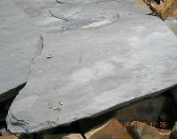 Crab Orchard Gray